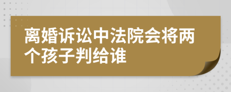 离婚诉讼中法院会将两个孩子判给谁