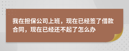 我在担保公司上班，现在已经签了借款合同，现在已经还不起了怎么办