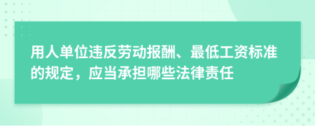 用人单位违反劳动报酬、最低工资标准的规定，应当承担哪些法律责任