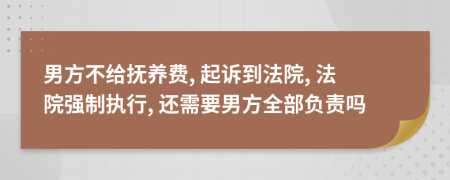 男方不给抚养费, 起诉到法院, 法院强制执行, 还需要男方全部负责吗