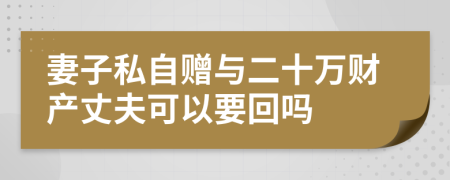 妻子私自赠与二十万财产丈夫可以要回吗