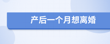 产后一个月想离婚