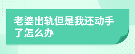 老婆出轨但是我还动手了怎么办