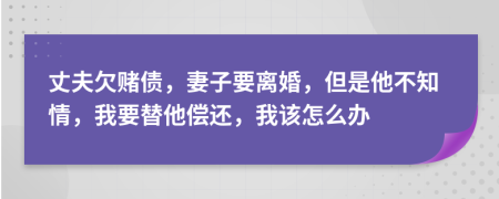 丈夫欠赌债，妻子要离婚，但是他不知情，我要替他偿还，我该怎么办