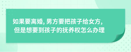 如果要离婚, 男方要把孩子给女方, 但是想要到孩子的抚养权怎么办理