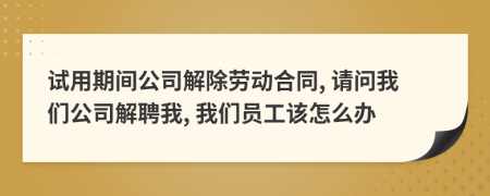 试用期间公司解除劳动合同, 请问我们公司解聘我, 我们员工该怎么办