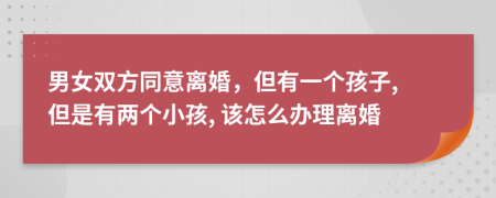 男女双方同意离婚，但有一个孩子, 但是有两个小孩, 该怎么办理离婚