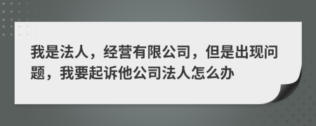 我是法人，经营有限公司，但是出现问题，我要起诉他公司法人怎么办