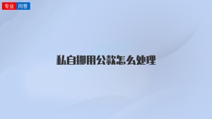 私自挪用公款怎么处理