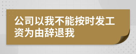 公司以我不能按时发工资为由辞退我