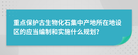 重点保护古生物化石集中产地所在地设区的应当编制和实施什么规划？