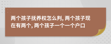 两个孩子抚养权怎么判, 两个孩子现在有两个, 两个孩子一个一个户口