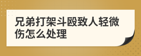 兄弟打架斗殴致人轻微伤怎么处理
