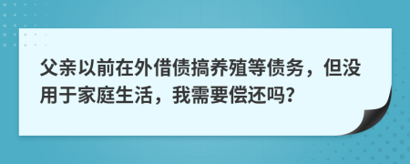 父亲以前在外借债搞养殖等债务，但没用于家庭生活，我需要偿还吗？