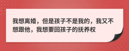 我想离婚，但是孩子不是我的，我又不想跟他，我想要回孩子的抚养权