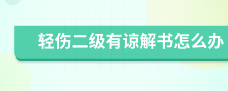 轻伤二级有谅解书怎么办