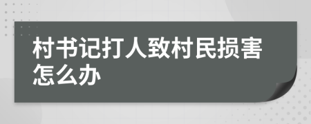 村书记打人致村民损害怎么办