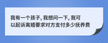 我有一个孩子, 我想问一下, 我可以起诉离婚要求对方支付多少抚养费