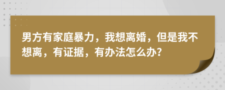 男方有家庭暴力，我想离婚，但是我不想离，有证据，有办法怎么办？