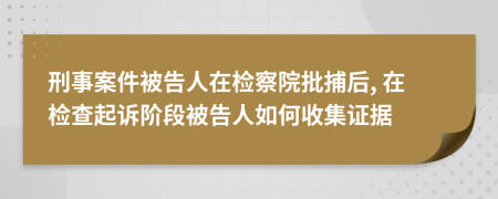 刑事案件被告人在检察院批捕后, 在检查起诉阶段被告人如何收集证据