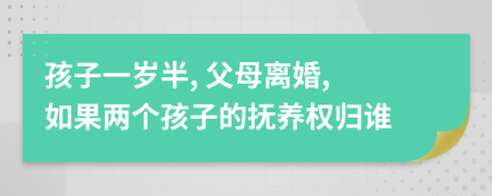 孩子一岁半, 父母离婚, 如果两个孩子的抚养权归谁