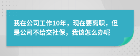 我在公司工作10年，现在要离职，但是公司不给交社保，我该怎么办呢