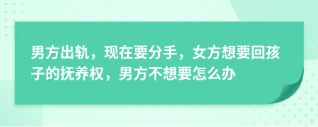 男方出轨，现在要分手，女方想要回孩子的抚养权，男方不想要怎么办