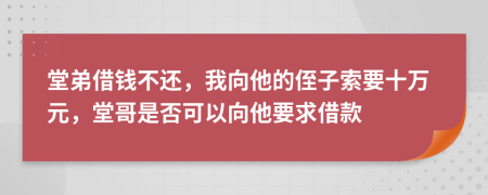 堂弟借钱不还，我向他的侄子索要十万元，堂哥是否可以向他要求借款