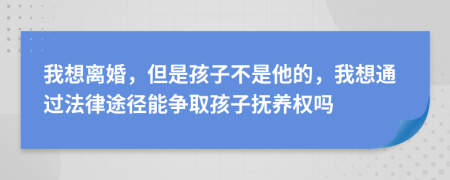 我想离婚，但是孩子不是他的，我想通过法律途径能争取孩子抚养权吗