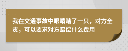 我在交通事故中眼睛瞎了一只，对方全责，可以要求对方赔偿什么费用