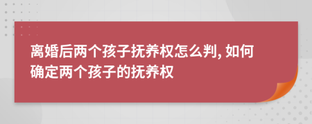 离婚后两个孩子抚养权怎么判, 如何确定两个孩子的抚养权