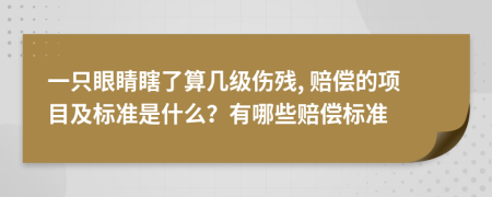 一只眼睛瞎了算几级伤残, 赔偿的项目及标准是什么？有哪些赔偿标准