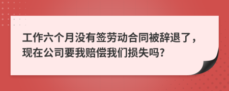 工作六个月没有签劳动合同被辞退了，现在公司要我赔偿我们损失吗?