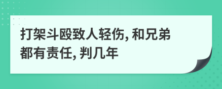 打架斗殴致人轻伤, 和兄弟都有责任, 判几年