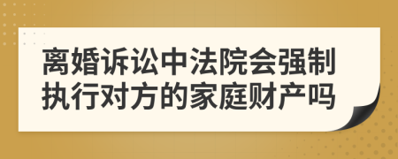 离婚诉讼中法院会强制执行对方的家庭财产吗