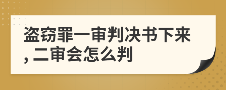 盗窃罪一审判决书下来, 二审会怎么判