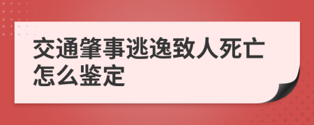 交通肇事逃逸致人死亡怎么鉴定