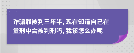 诈骗罪被判三年半, 现在知道自己在量刑中会被判刑吗, 我该怎么办呢