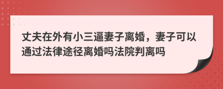 丈夫在外有小三逼妻子离婚，妻子可以通过法律途径离婚吗法院判离吗