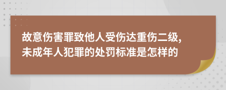 故意伤害罪致他人受伤达重伤二级, 未成年人犯罪的处罚标准是怎样的