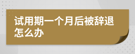 试用期一个月后被辞退怎么办
