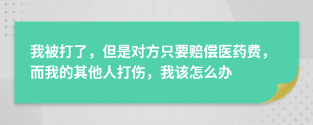 我被打了，但是对方只要赔偿医药费，而我的其他人打伤，我该怎么办