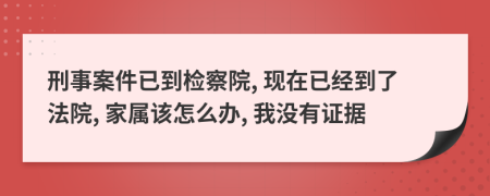 刑事案件已到检察院, 现在已经到了法院, 家属该怎么办, 我没有证据