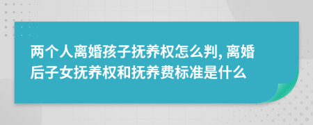 两个人离婚孩子抚养权怎么判, 离婚后子女抚养权和抚养费标准是什么