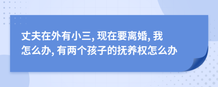 丈夫在外有小三, 现在要离婚, 我怎么办, 有两个孩子的抚养权怎么办