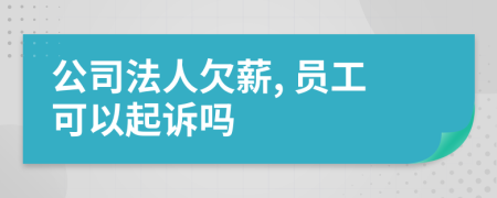 公司法人欠薪, 员工可以起诉吗