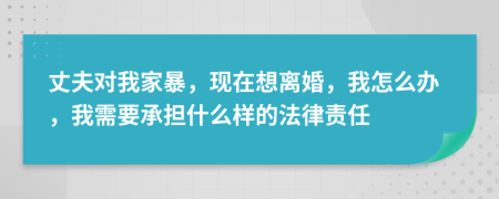 丈夫对我家暴，现在想离婚，我怎么办，我需要承担什么样的法律责任