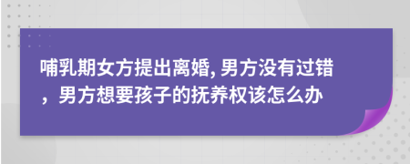 哺乳期女方提出离婚, 男方没有过错，男方想要孩子的抚养权该怎么办