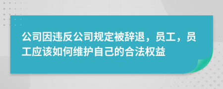 公司因违反公司规定被辞退，员工，员工应该如何维护自己的合法权益