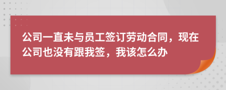 公司一直未与员工签订劳动合同，现在公司也没有跟我签，我该怎么办